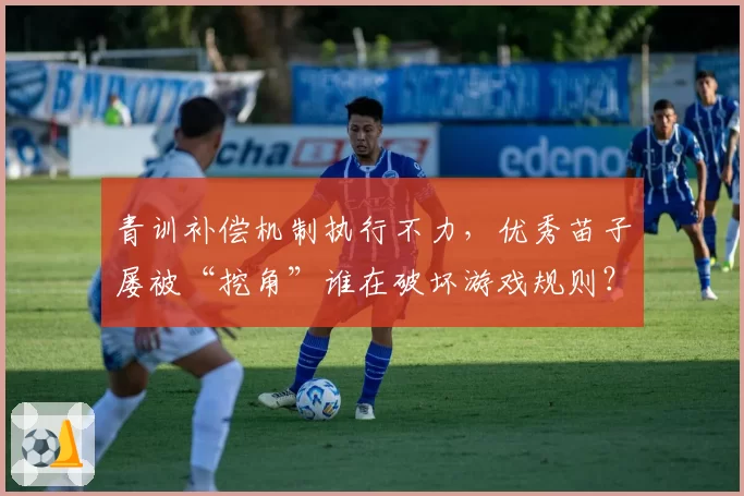 青训补偿机制执行不力，优秀苗子屡被“挖角”谁在破坏游戏规则？