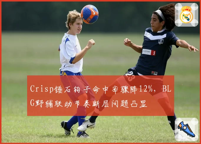 Crisp锤石钩子命中率骤降12%,BLG野辅联动节奏断层问题凸显