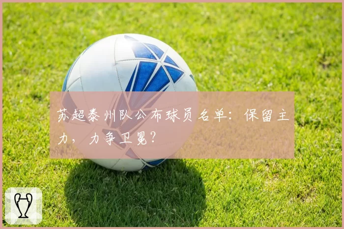 苏超泰州队公布球员名单:保留主力,力争卫冕?