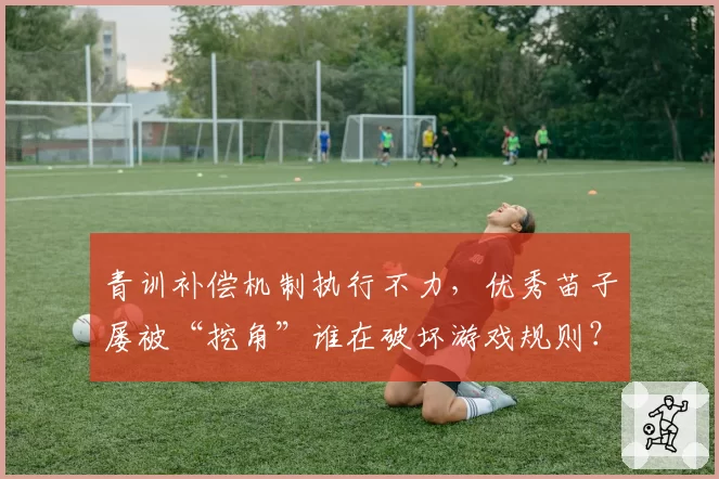 青训补偿机制执行不力，优秀苗子屡被“挖角”谁在破坏游戏规则？